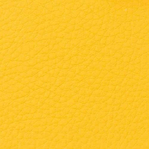 Mikado Yellow