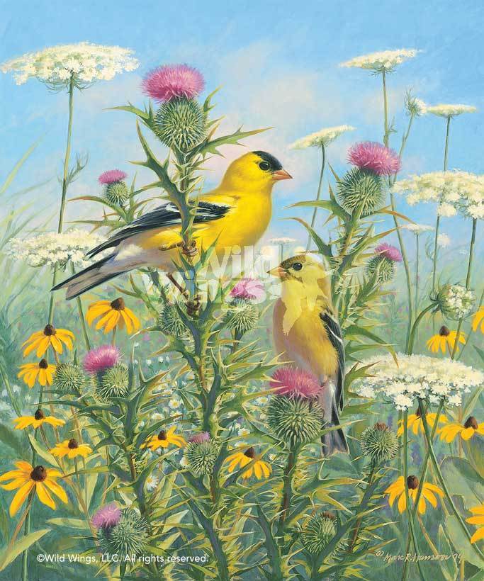 Golden Glories Goldfinches Signed Print - Handmade Artwork for Home Decor, Wall Art & Gift Ideas | Perfect for Living Room, Bedroom & Office