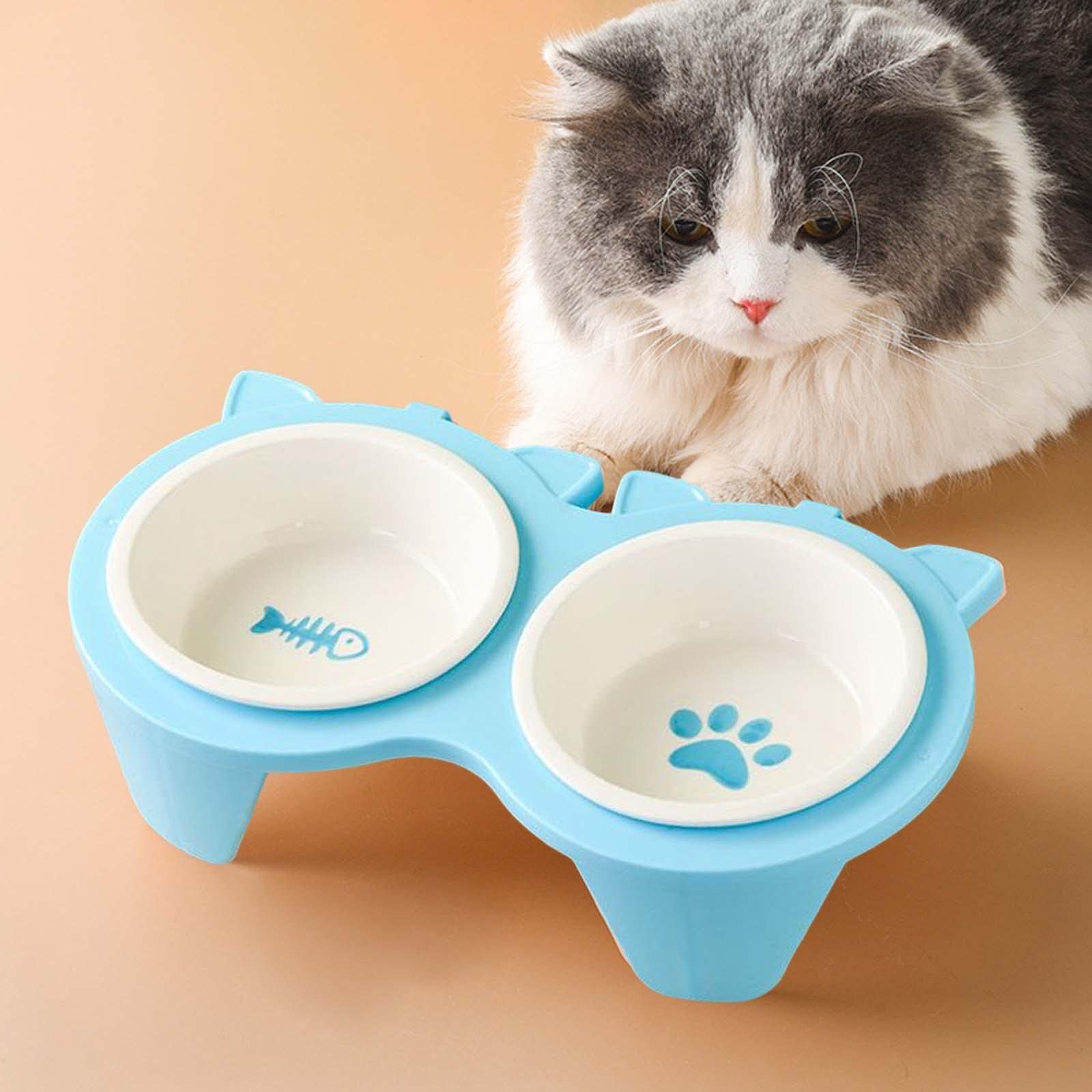 Enakshi Elevated Tilted Cat Food Bowls - Ergonomic Raised Pet Feeding Dishes for Indoor Cats (Blue) | Anti-Spill Slow Feeder for Kittens & Senior Cats | Perfect for Dining Areas & Small Spaces