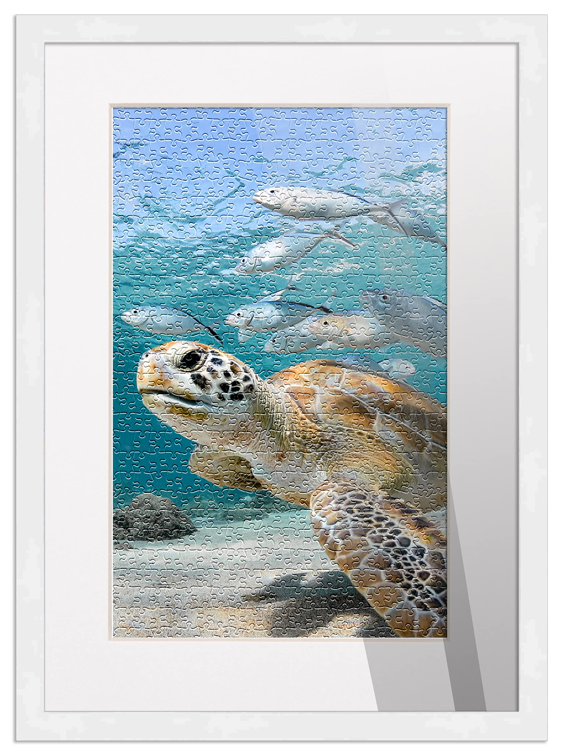 28x40 White Solid Wood Picture Frame with White Photo Mat - Perfect for Displaying 26x38 Puzzles | Includes Acrylic Plexiglass, Foam Board Backing, Hanging Hardware & Peel & Stick Puzzle Glue Sheets | Ideal for Home Decor, Office Display or Gift Giving