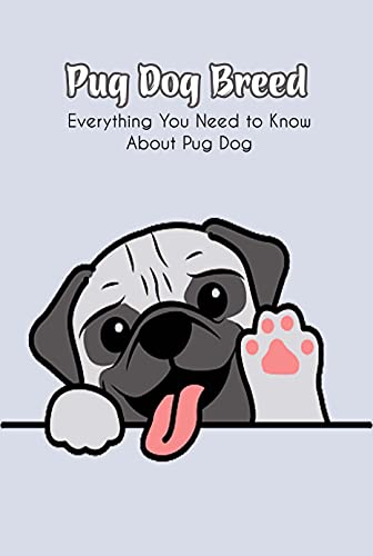 Pug Dog Breed Guide: Essential Facts, Care Tips & What to Know Before Adoption | Perfect for Apartment Living & Family Pets