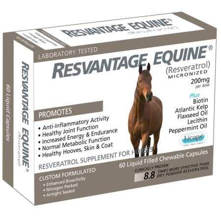 Equine Resveratrol Supplement - 60 Chewable Liquid Filled Capsules for Horse Joint & Immune Support - Perfect for Performance Horses & Senior Equine Care