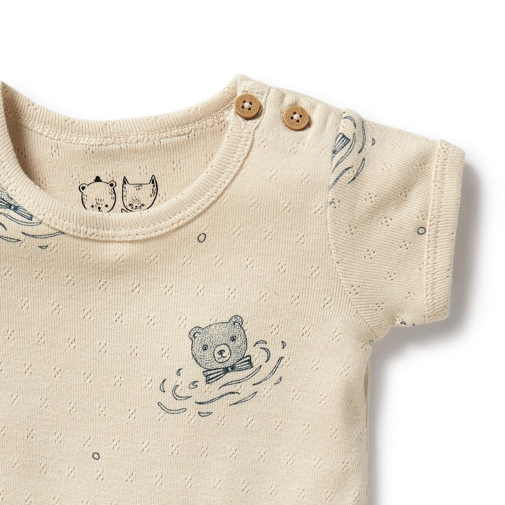 Little Bear Organic Pointelle Bodysuit - Soft Cotton Baby Onesie for Newborns & Infants | Perfect for Everyday Wear, Playtime & Photo Shoots