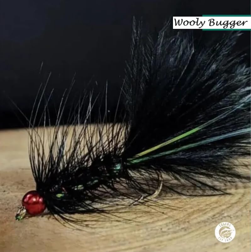 **Beginner Fly Tying Kit – Complete Starter Set with Hooks, Beads & Tools – Tie 5 Different Fly Patterns – Perfect for DIY Fishing Lures & Fly Fishing Enthusiasts**    *(Use Cases: Ideal for beginners learning fly tying, creating custom fishing flies, or as a gift for fishing hobbyists.)*