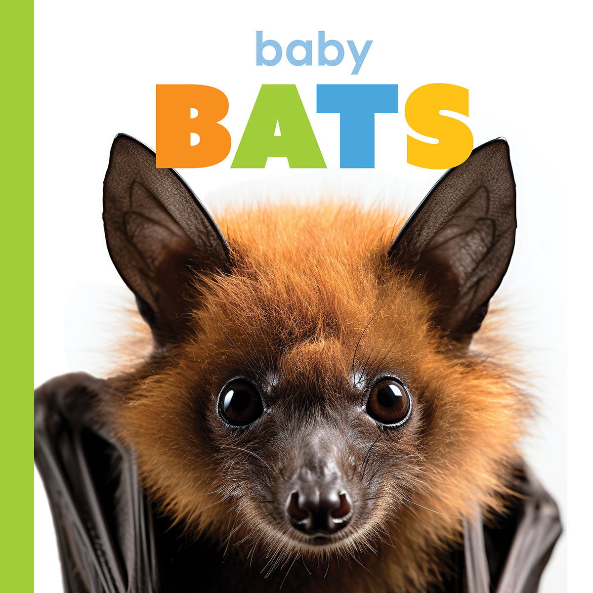 Baby Bats Starting Out - Adorable Bat Plush Toys for Kids & Collectors | Perfect for Halloween Decor, Nursery Room, and Gifts