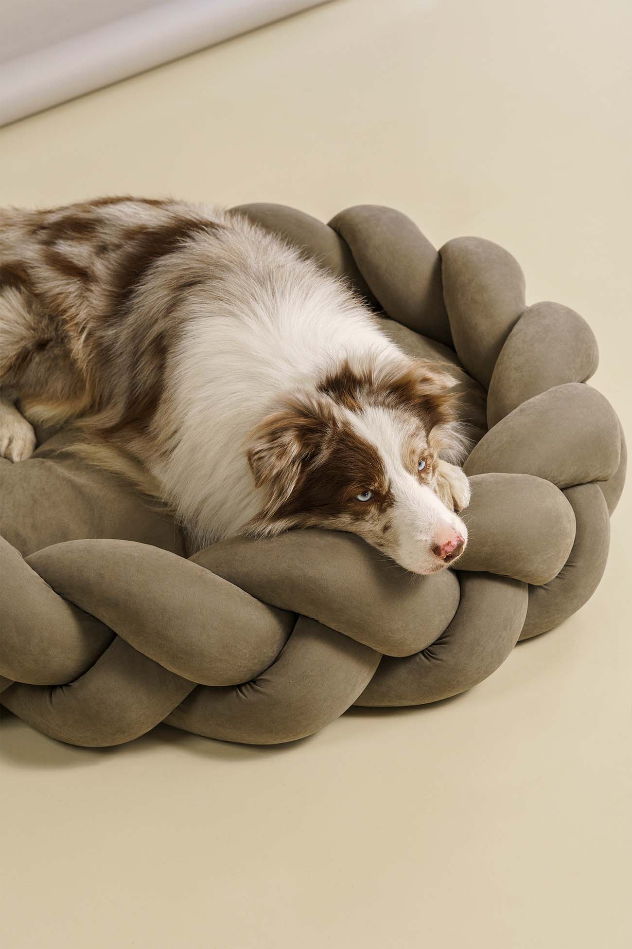 Premium Orthopedic Dog Bed - Pony Kolosony Khaki - Comfortable & Supportive Pet Bed for Small, Medium & Large Dogs - Perfect for Home, Crate & Travel Use