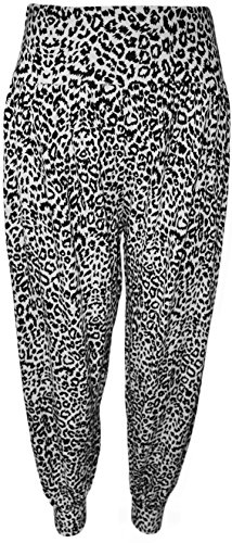 Black White Animal