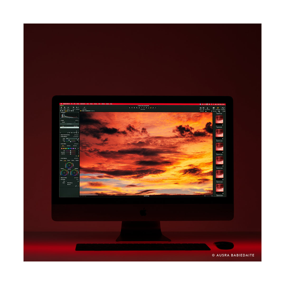 Capture One Pro Camera Bundle - Professional Photo Editing Software with Physical Sleeve for Photographers | Perfect for Studio, Wedding & Landscape Photography