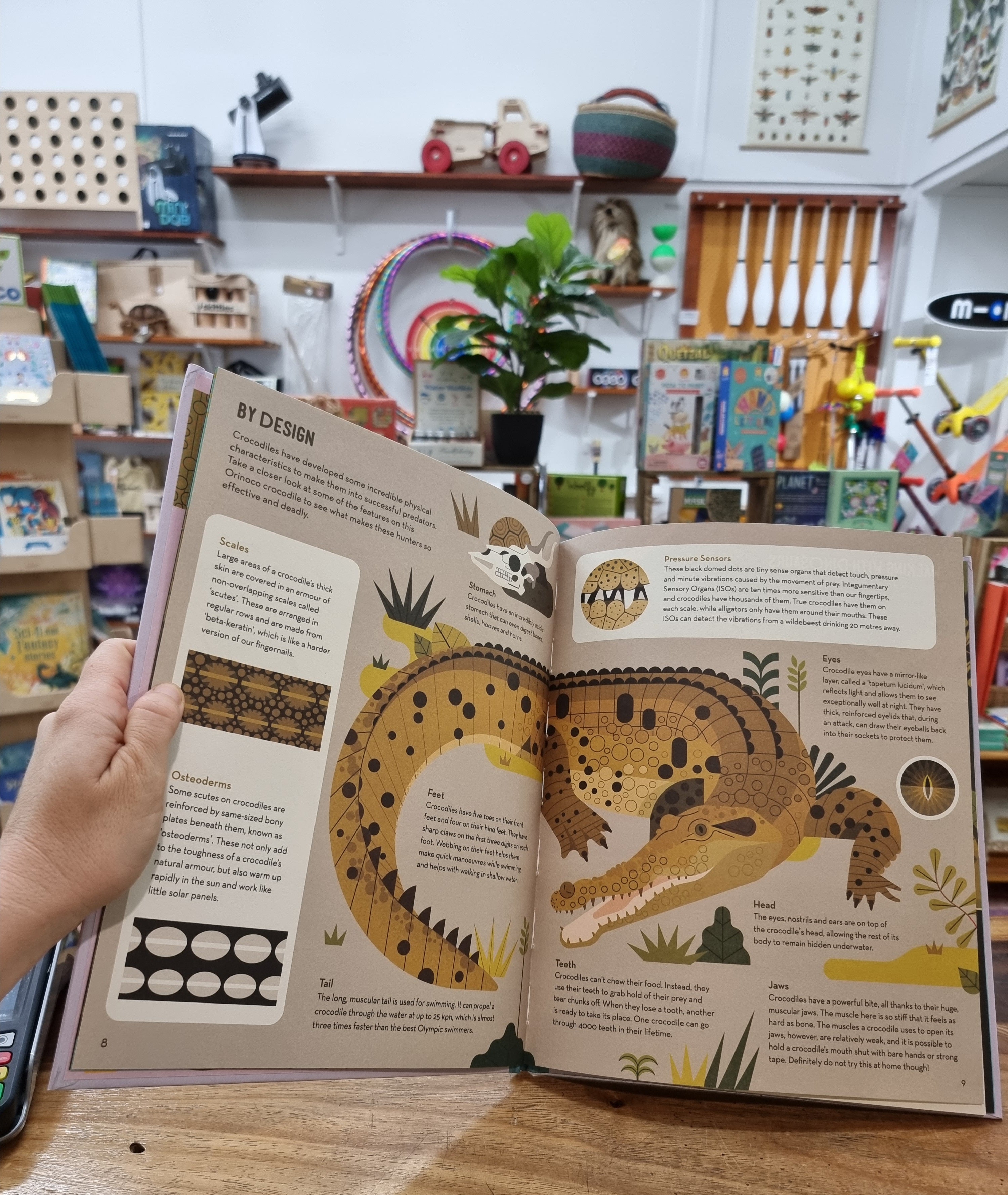 Curious About Crocodiles: Illustrated Animal Book for Kids by Owen Davey - Perfect for Bedtime Stories & Wildlife Education
