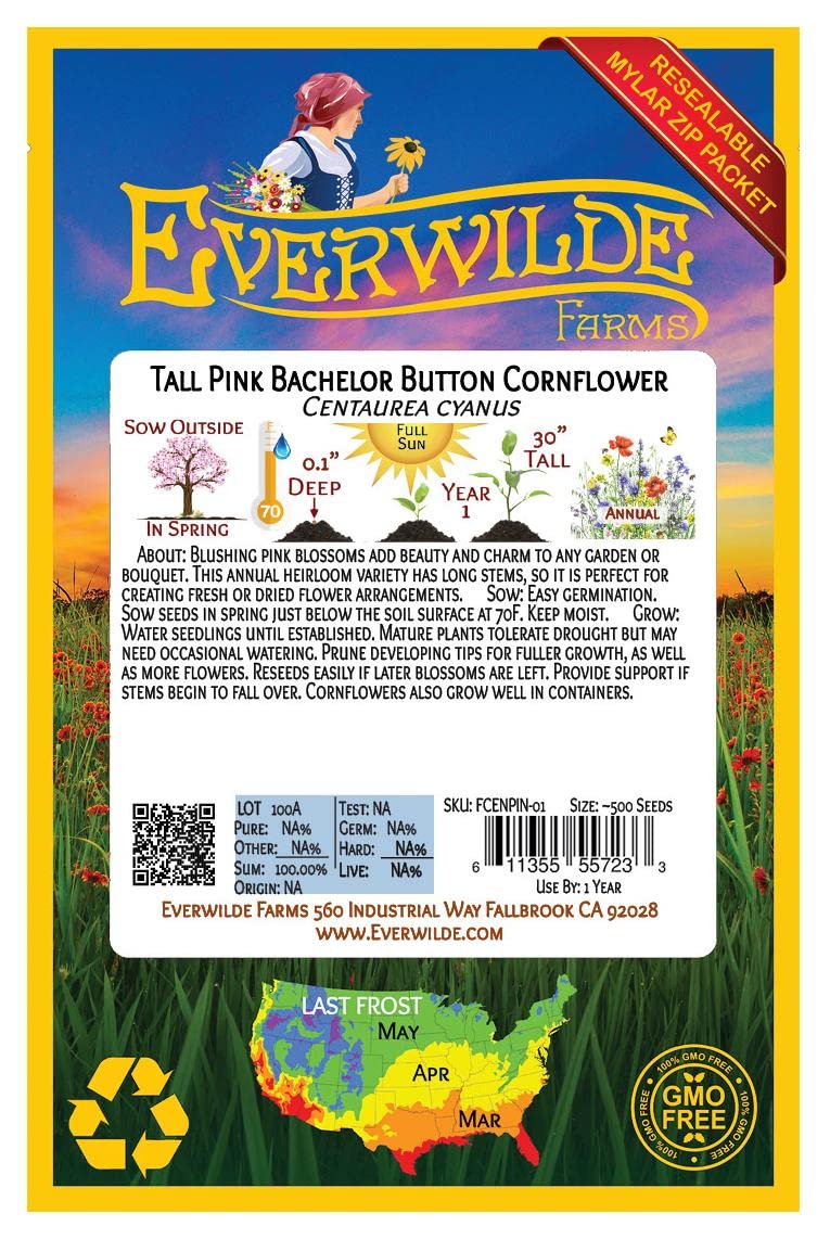 500 Tall Pink Cornflower Wildflower Seeds - Premium Gold Vault Jumbo Seed Packet by Everwilde Farms - Perfect for Home Gardens, Landscaping & Pollinator-Friendly Planting
