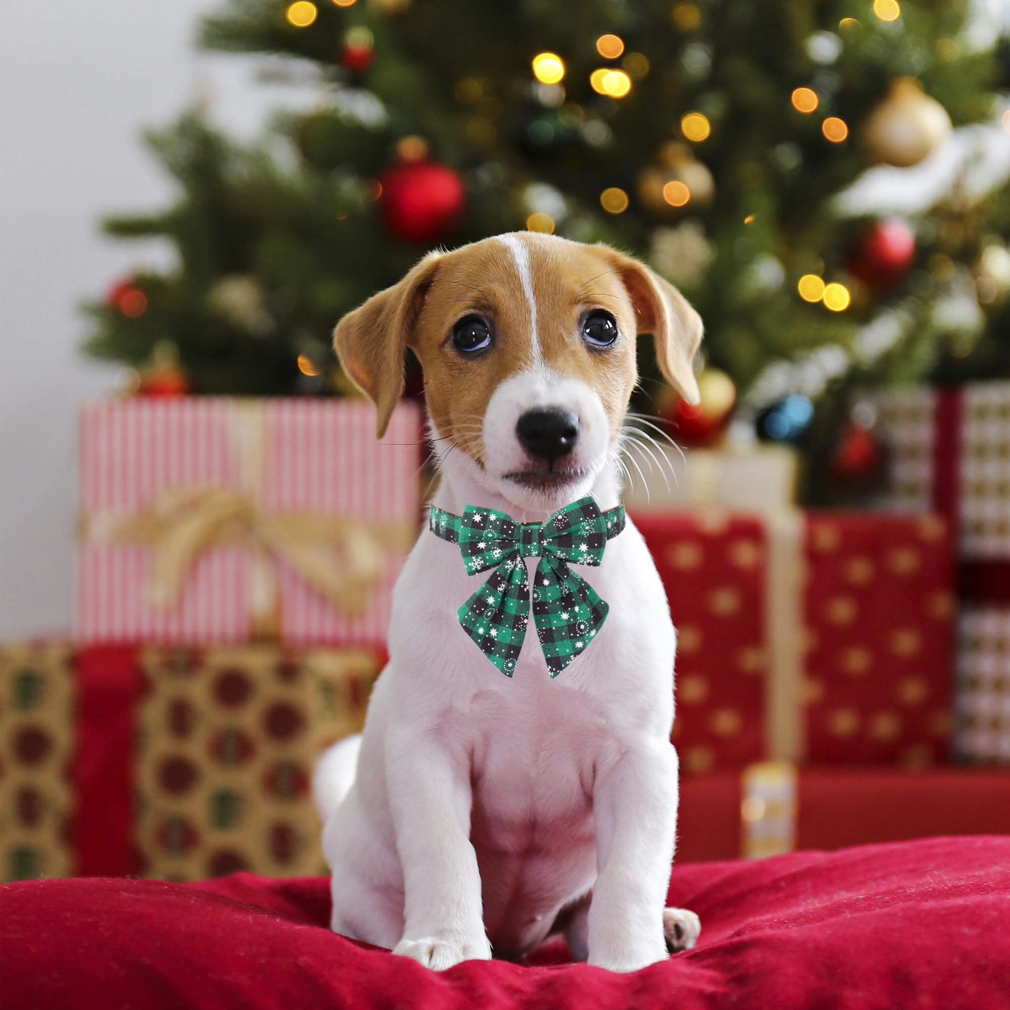 ADOGGYGO 2 Pack Christmas Dog Collar with Bow Tie - Classic Plaid Red Green Adjustable Pet Collar with Removable Bowtie for Small Dogs - Perfect for Holiday Photos & Festive Pet Parties