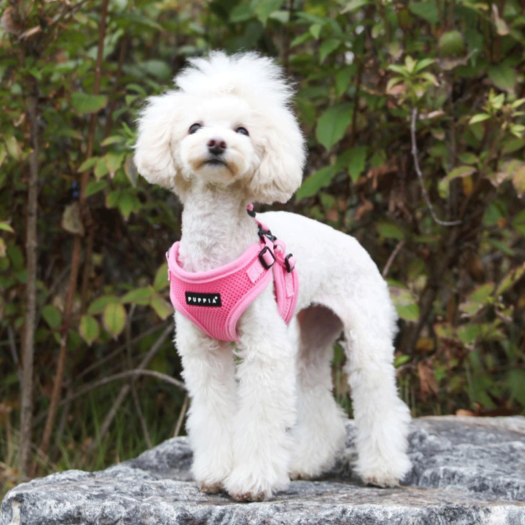 Puppia Soft Step-In Dog Harness - Adjustable Pink Pet Harness for Small & Medium Dogs - Comfortable & Secure Walking Vest for Daily Walks & Outdoor Adventures