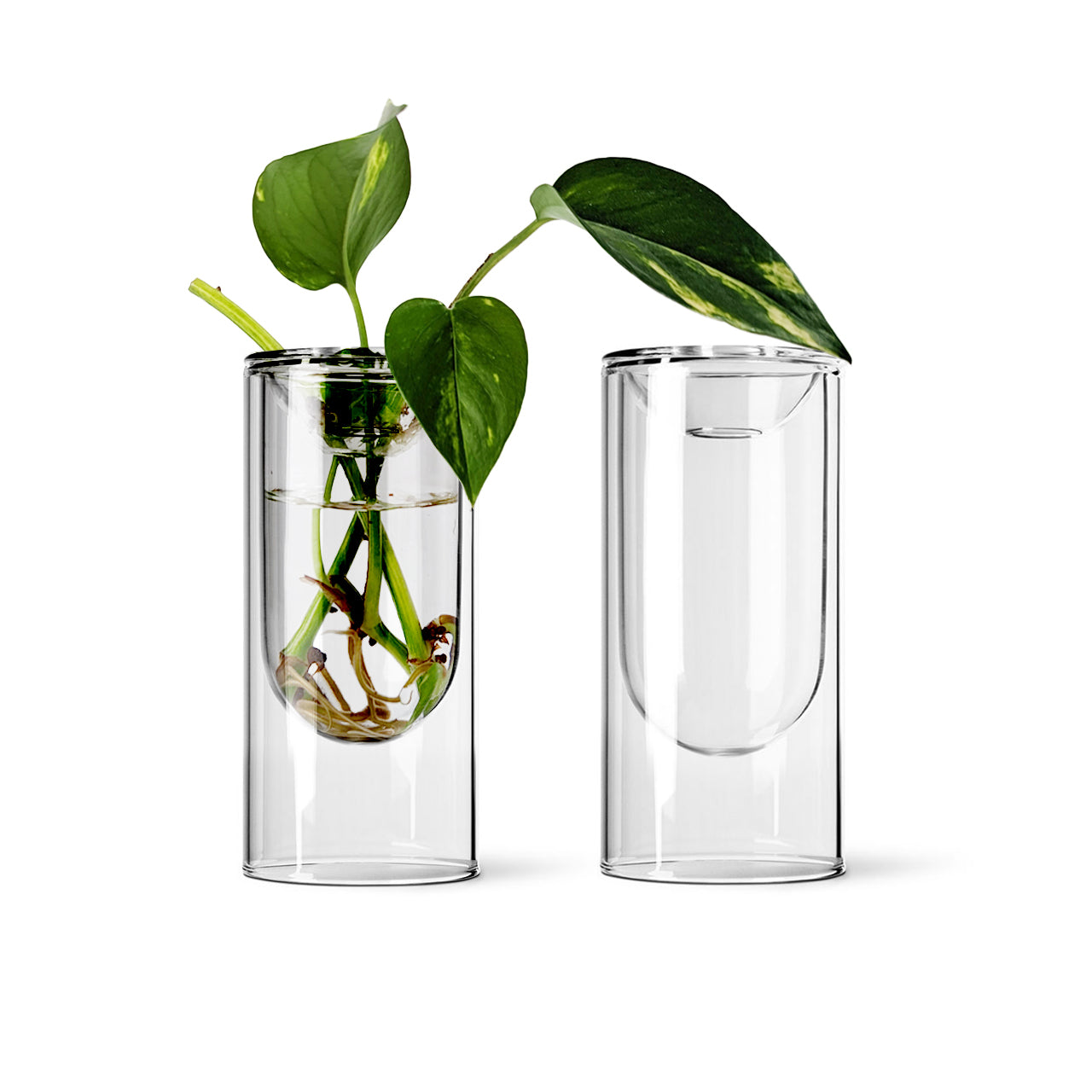 Small Propagation Vase Set of 2 - Glass Plant Propagation Station for Cuttings & Herbs - Perfect for Home Decor, Office Plants & Gardening Gifts