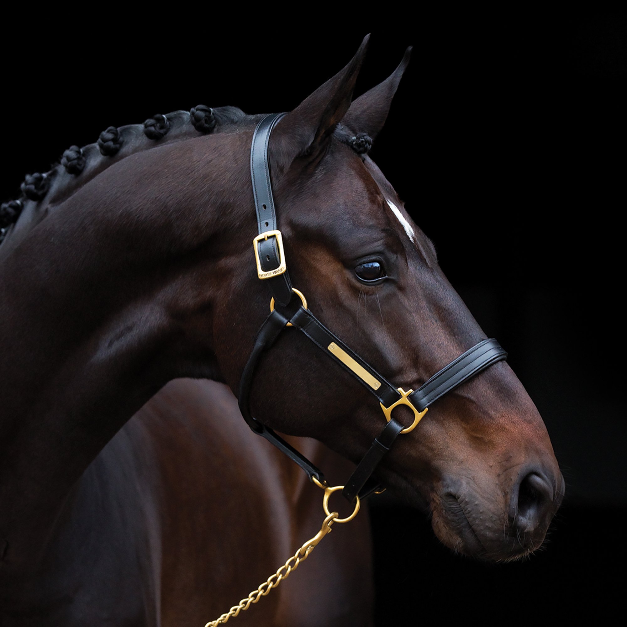 Horseware Ireland Amigo Padded Headcollar for Horses - Comfortable Brown Standard Size | Perfect for Grooming, Training & Stable Use