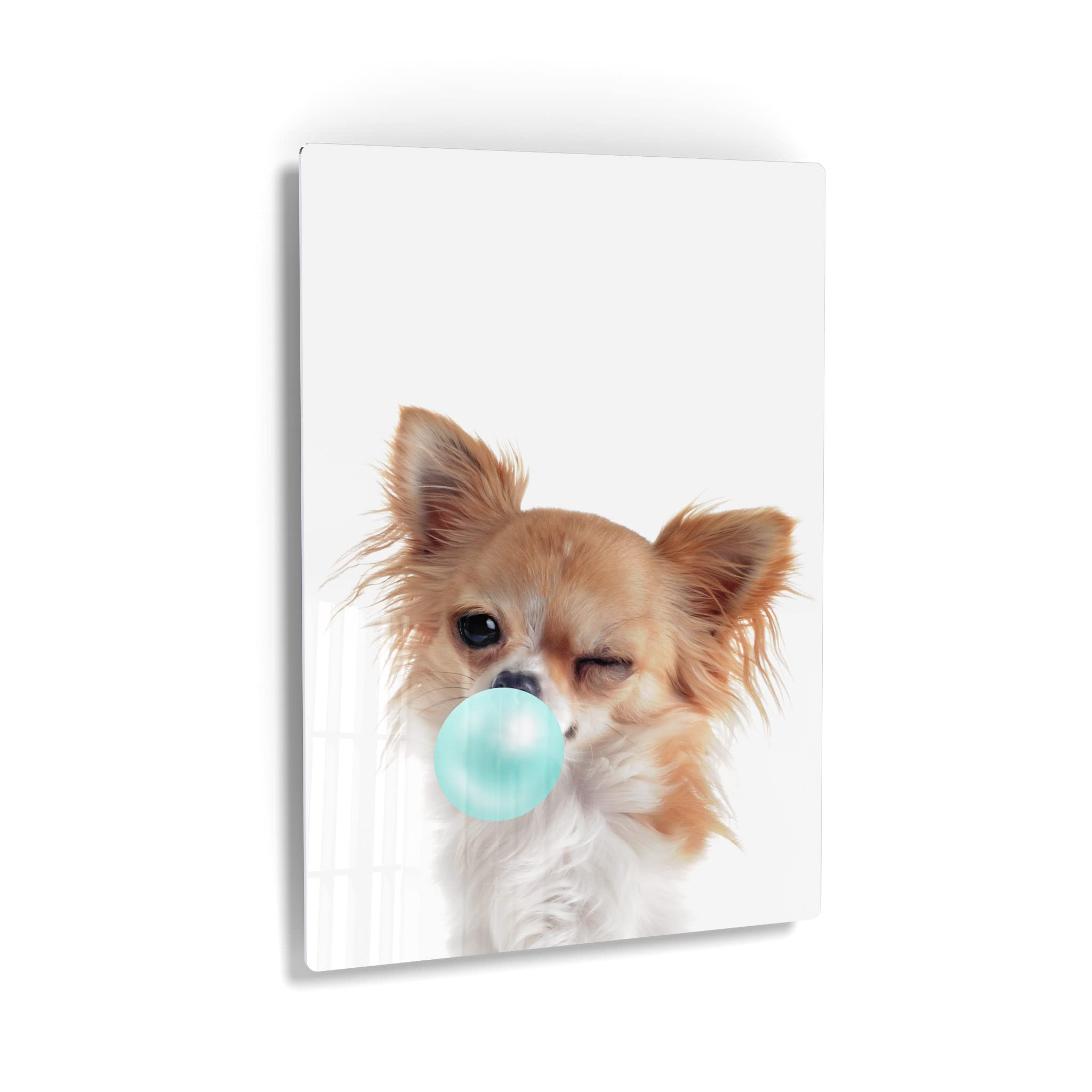 Chihuahua Dog Chewing Teal Blue Bubble Gum - Metal Wall Art Print for Pet Lovers, Pop Art Decor for Office, Living Room, Bedroom & Nursery - 30x20 Inches - Perfect Gift for Dog Owners & Animal Art Enthusiasts