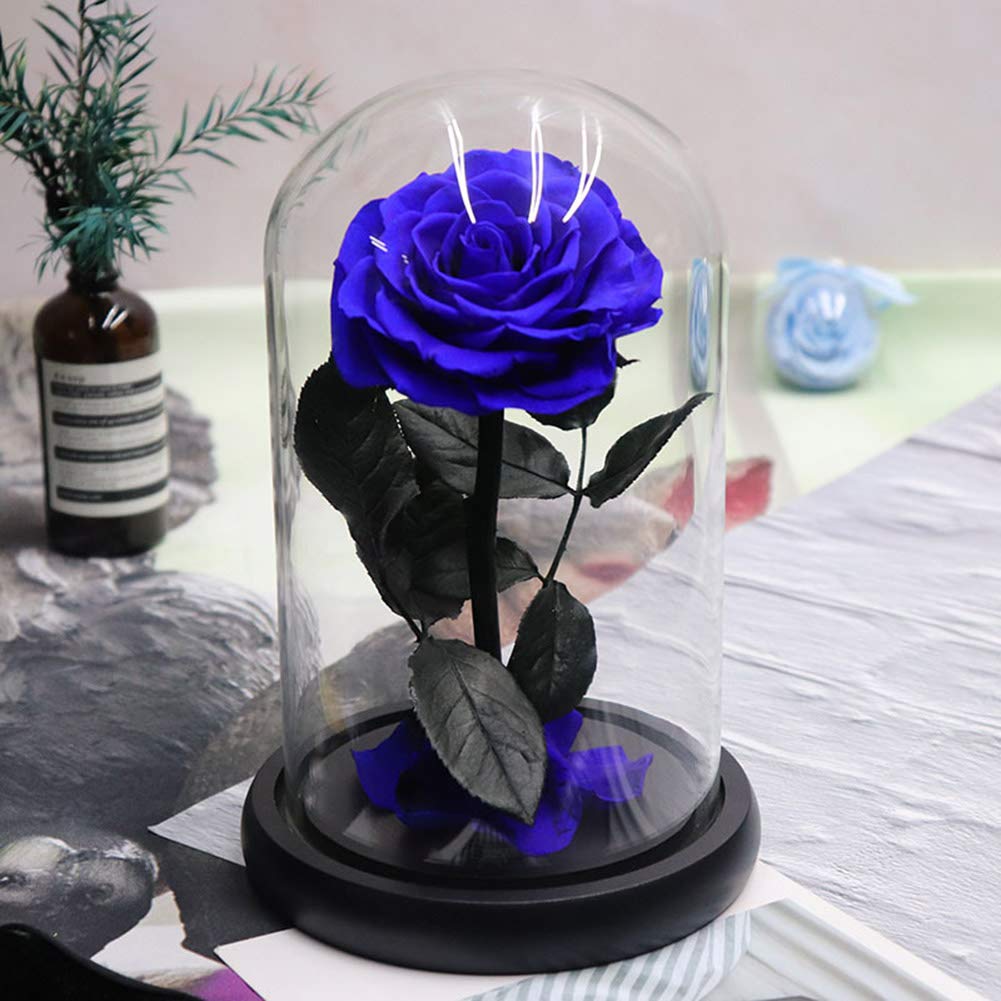 AMYMGLL Red Rose Gift - LED Rose Flower in Glass Dome, Artificial Eternal Flower, Preserved Rose for Mother's Day, Valentine's Day, Wedding, Anniversary, Girlfriend (Blue Option Available) - Perfect for Romantic Home Decor, Wedding Centerpieces & Special Occasion Gifts