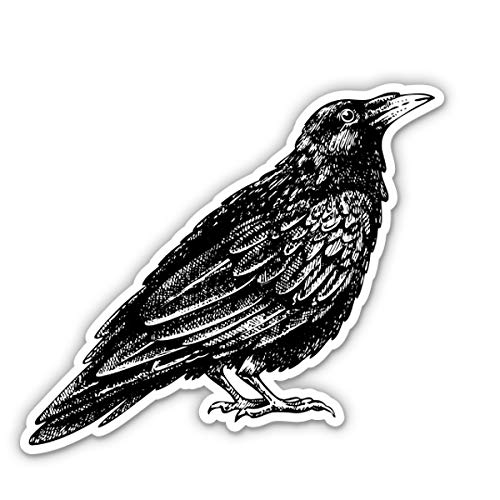 Black Raven 3