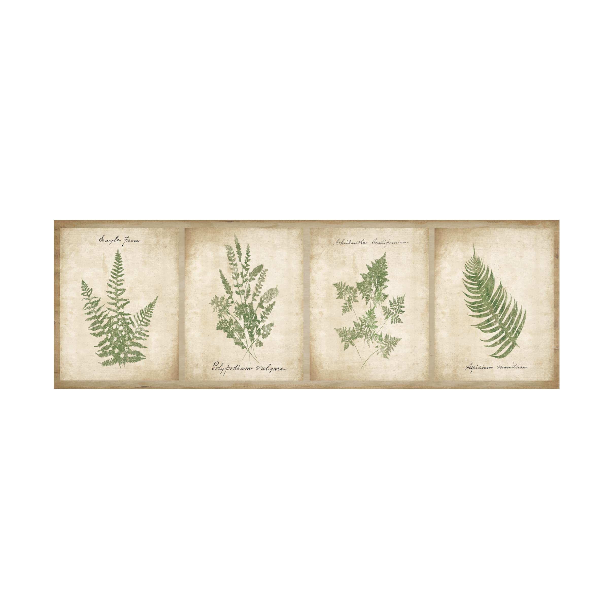 Vintage Ferns 4-Panel Canvas Wall Art - Botanical Nature Prints for Home & Office Decor - Wild Apple Portfolio Collection - Perfect for Living Room, Bedroom or Office Spaces