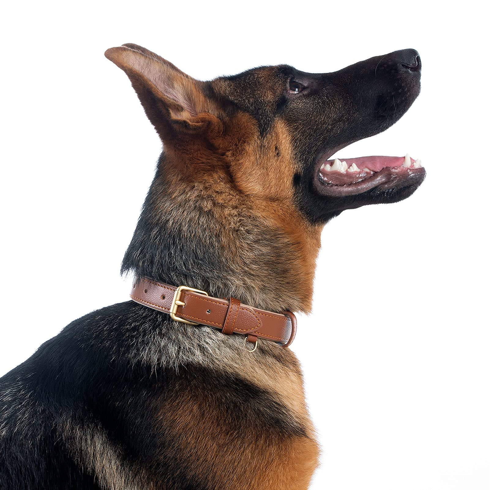 Premium Soft Padded Leather Dog Collar - Waterproof & Adjustable for Small, Medium, Large Dogs - Perfect for Daily Walks, Training & Outdoor Adventures