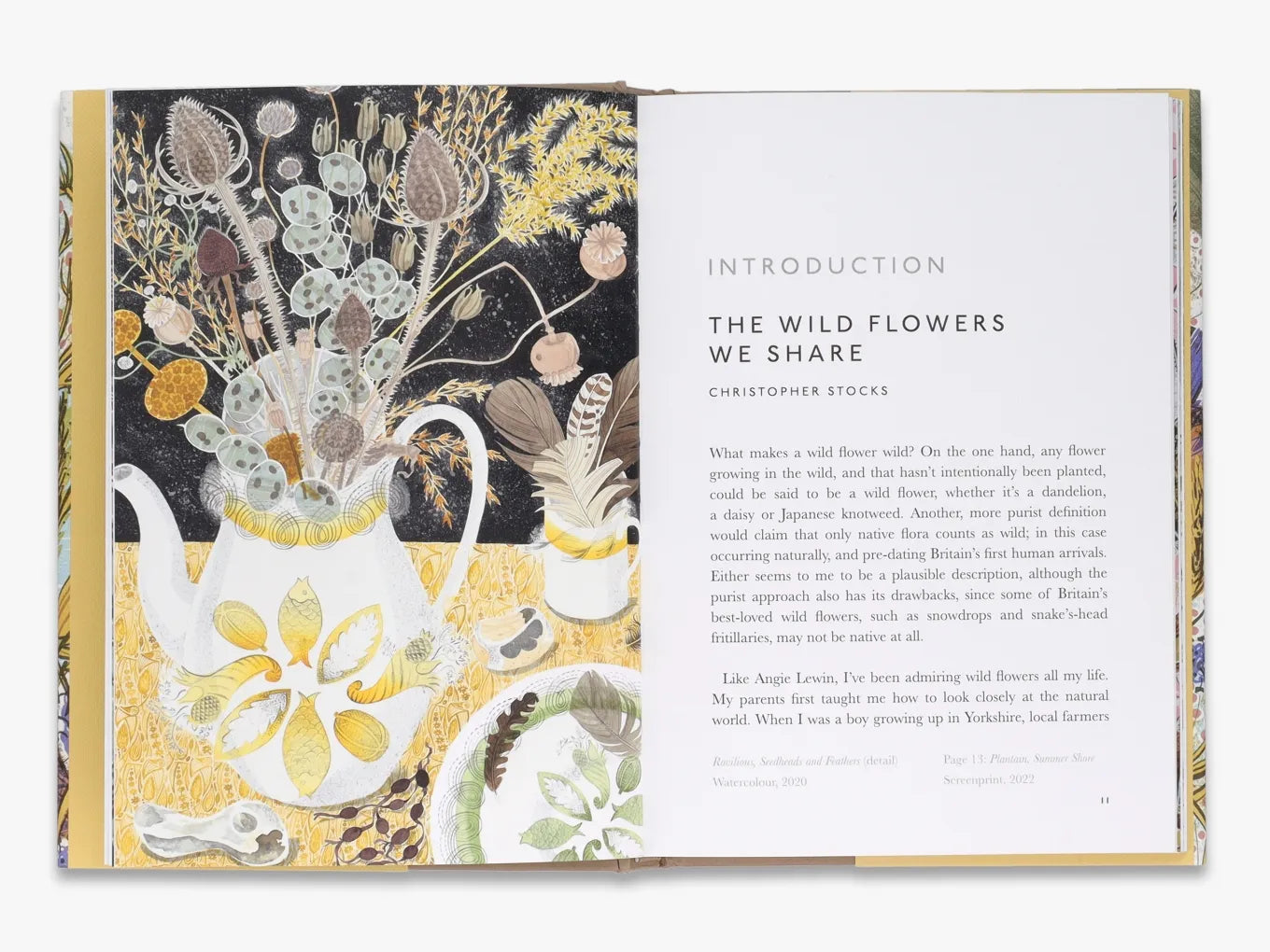 The Book of Wild Flowers - A Comprehensive Guide to North American Wildflowers | Perfect for Nature Lovers, Hikers & Gardeners