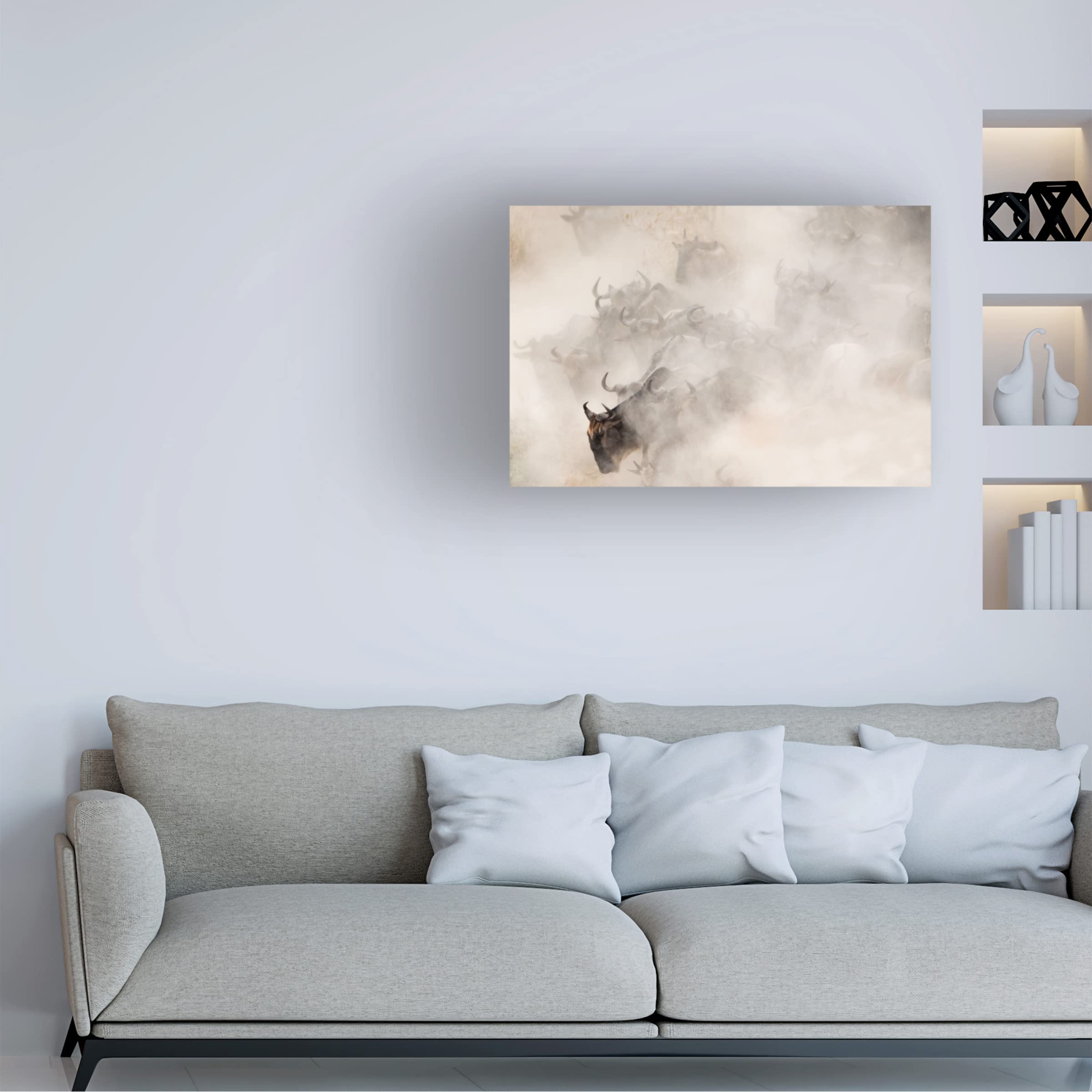 Trademark Fine Art 'Dust' Canvas Wall Art Print by Valerio Ferraro - Modern Abstract Painting for Living Room, Bedroom & Office Decor
