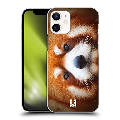 Red Panda