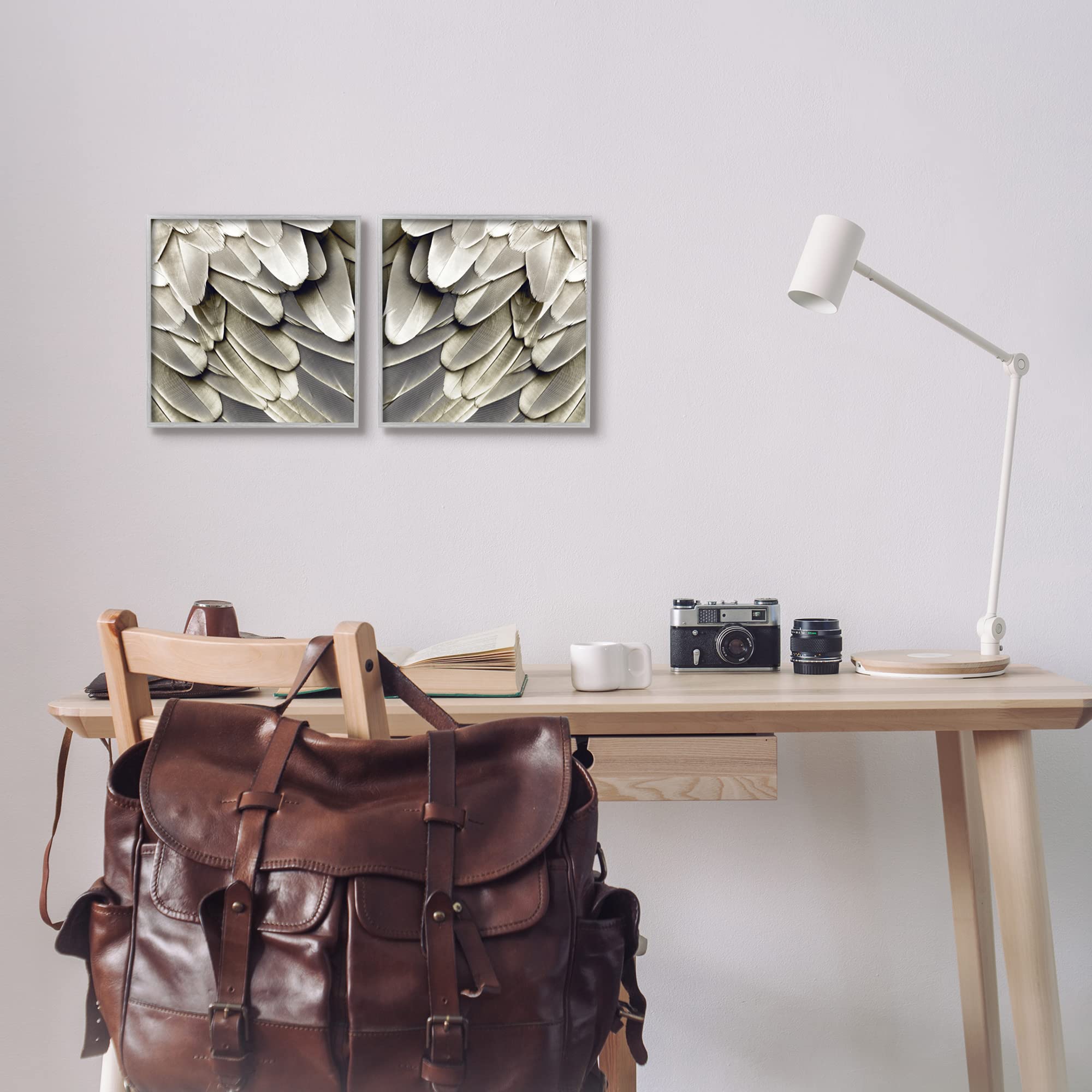Stupell Industries Feathered Bird Wings Wall Art - Stunning Close-Up Photography by Julia Bosco | Nature-Inspired Home Decor for Living Room, Bedroom & Office