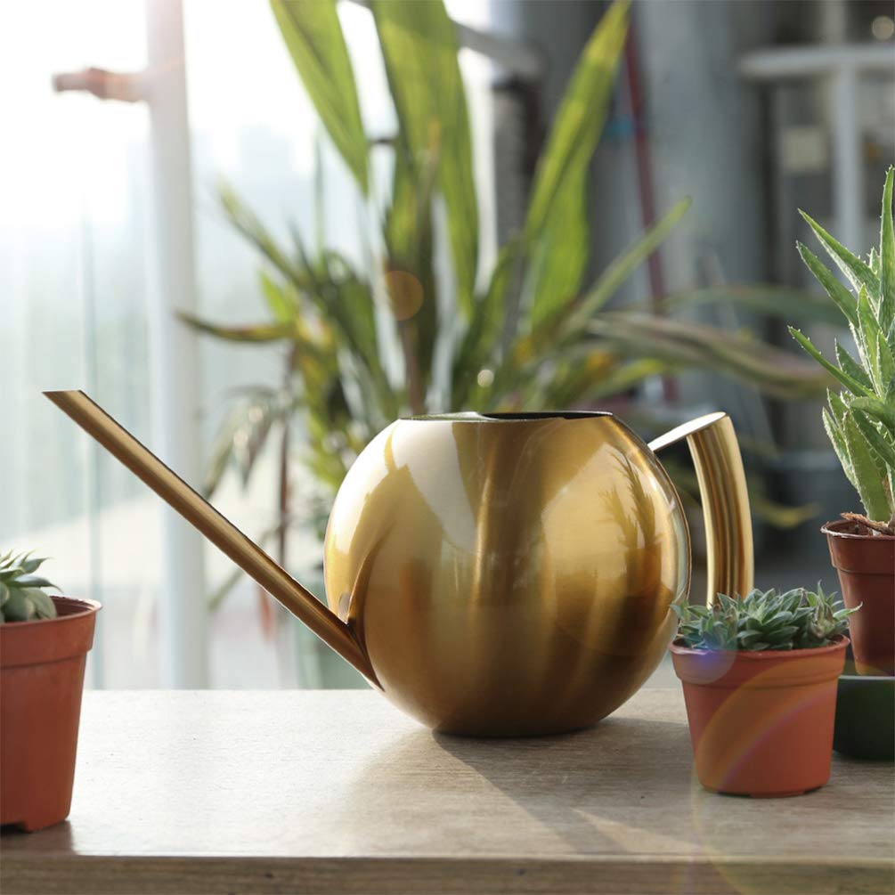 DOITOOL Stainless Steel Watering Can for Plants - 1L Metal Watering Pot with Long Spout, Indoor/Outdoor Plant Watering Kettle for Garden, Flowers, Bonsai, Houseplants - Perfect for Gentle Watering & Cleaning