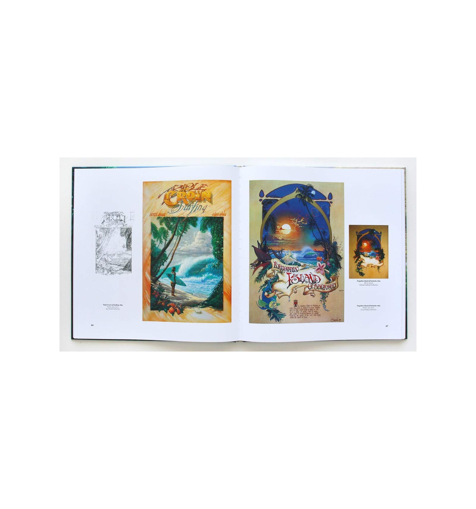 Unisex Adult Books - Multi-Colored Reading Collection for Men & Women - Perfect for Home Libraries, Book Clubs & Gifts