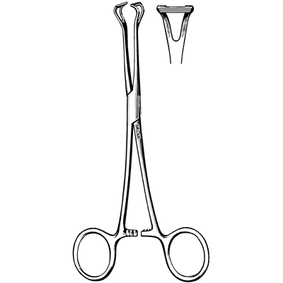 Babcock Forceps 8