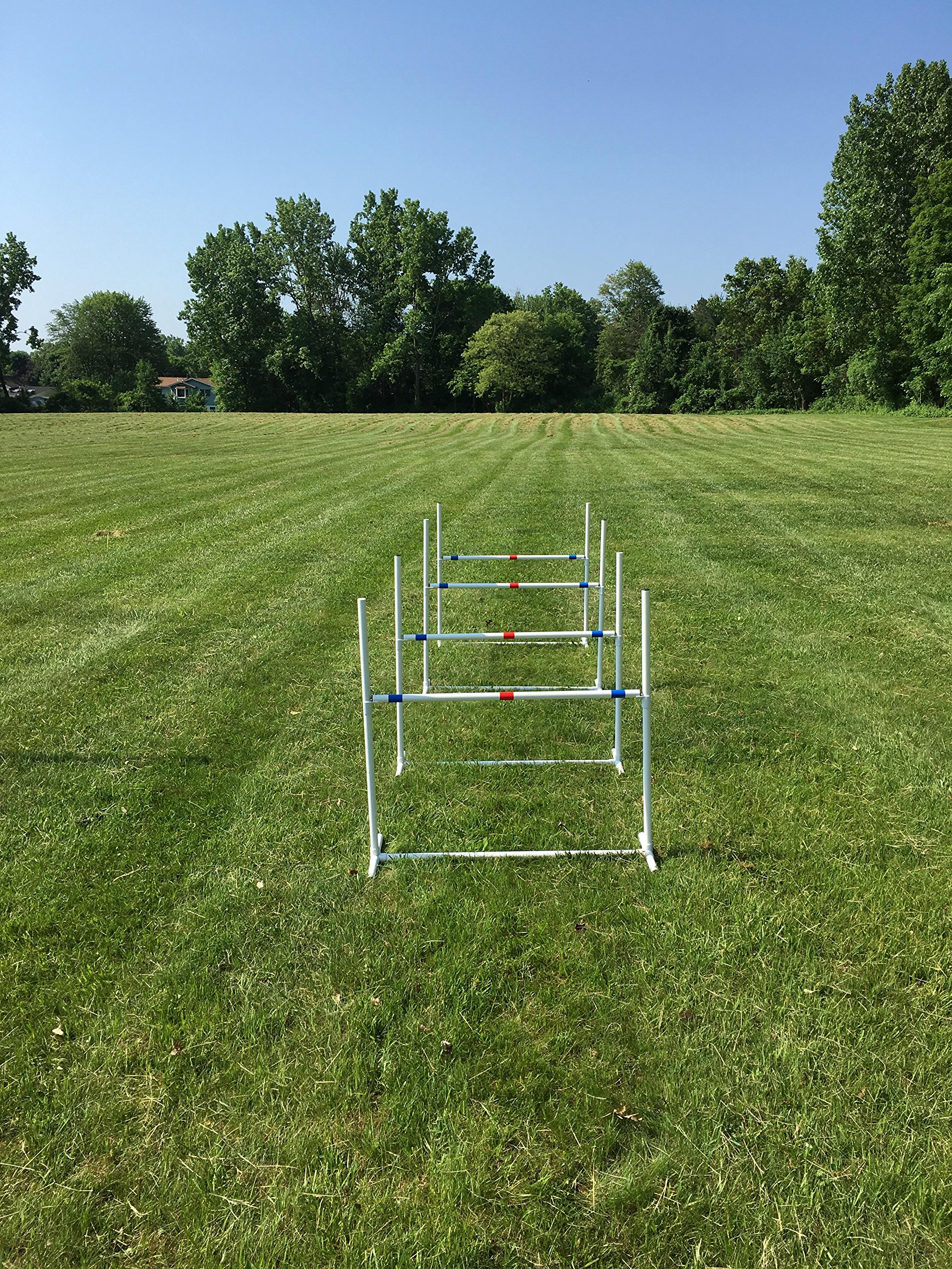 Adjustable Dog Agility Jump Set - 4 Bar Jumps with Jump Cups for Training & Competition | Portable Travel Agility Equipment for Backyard, Park & Outdoor Use