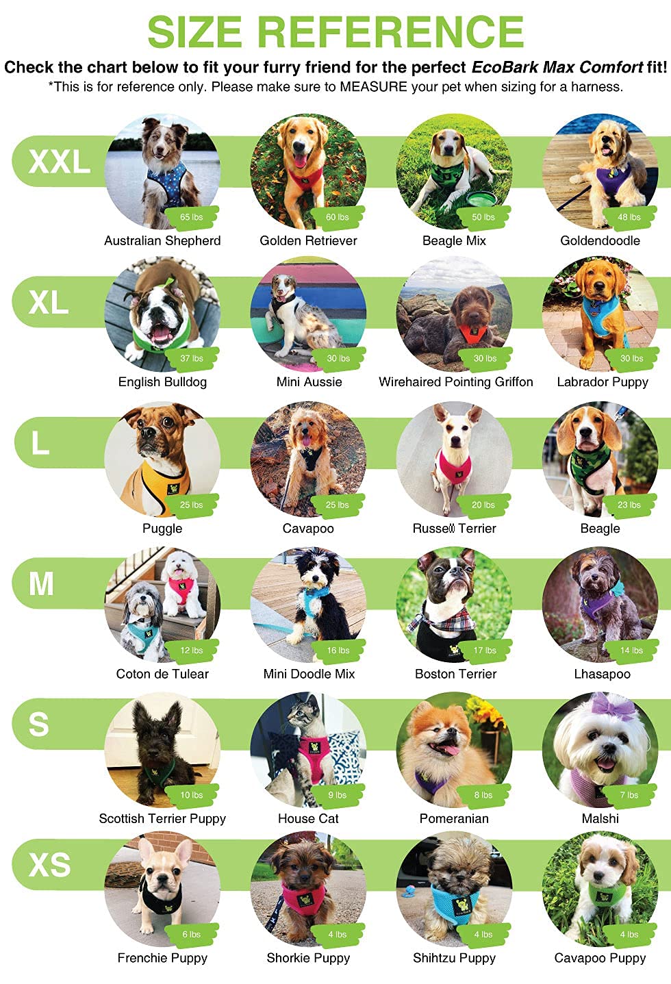 EcoBark Eco-Friendly No Pull Dog Harness - Soft Mesh Comfort Vest for Small, Toy & Teacup Dogs - Overhead Design Prevents Choking (XS, Dark Green) - Perfect for Walks, Training & Outdoor Adventures