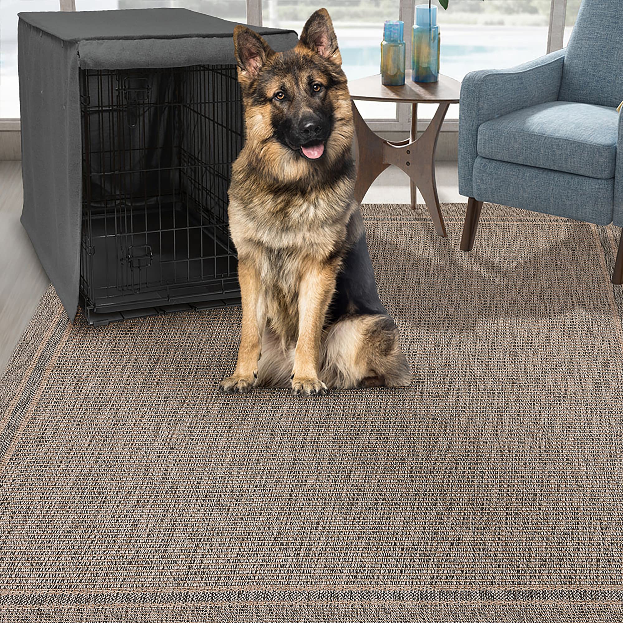 Friends Forever 42 Inch Metal Dog Crate Cover - Light Blocking Kennel Cover with Protective Curtain & Roller Shades | Machine Washable, Trucker Black | Perfect for Home, Travel & Anxiety Relief