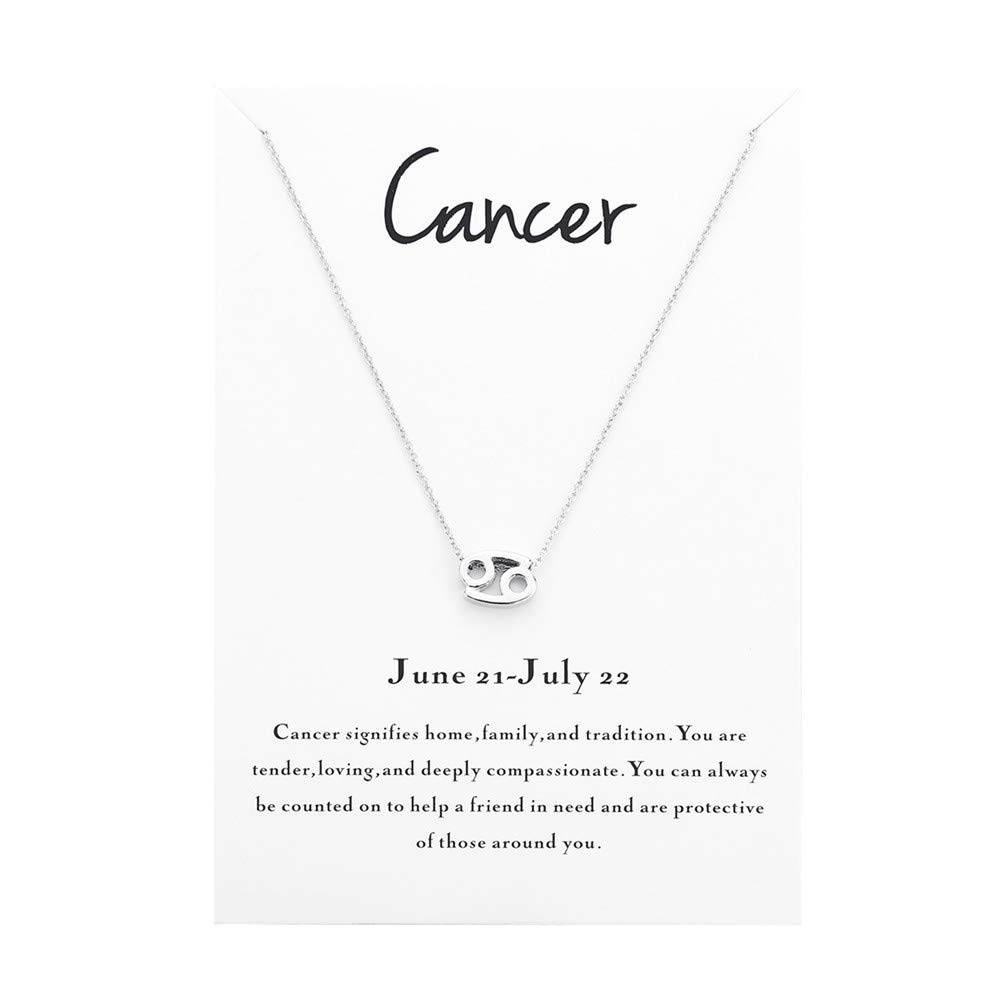 Zodiac Necklace for Women - Personalized Horoscope Constellation Pendant Jewelry, Astrology Birthday Gift for Her | Perfect for Daily Wear, Special Occasions & Gift Giving