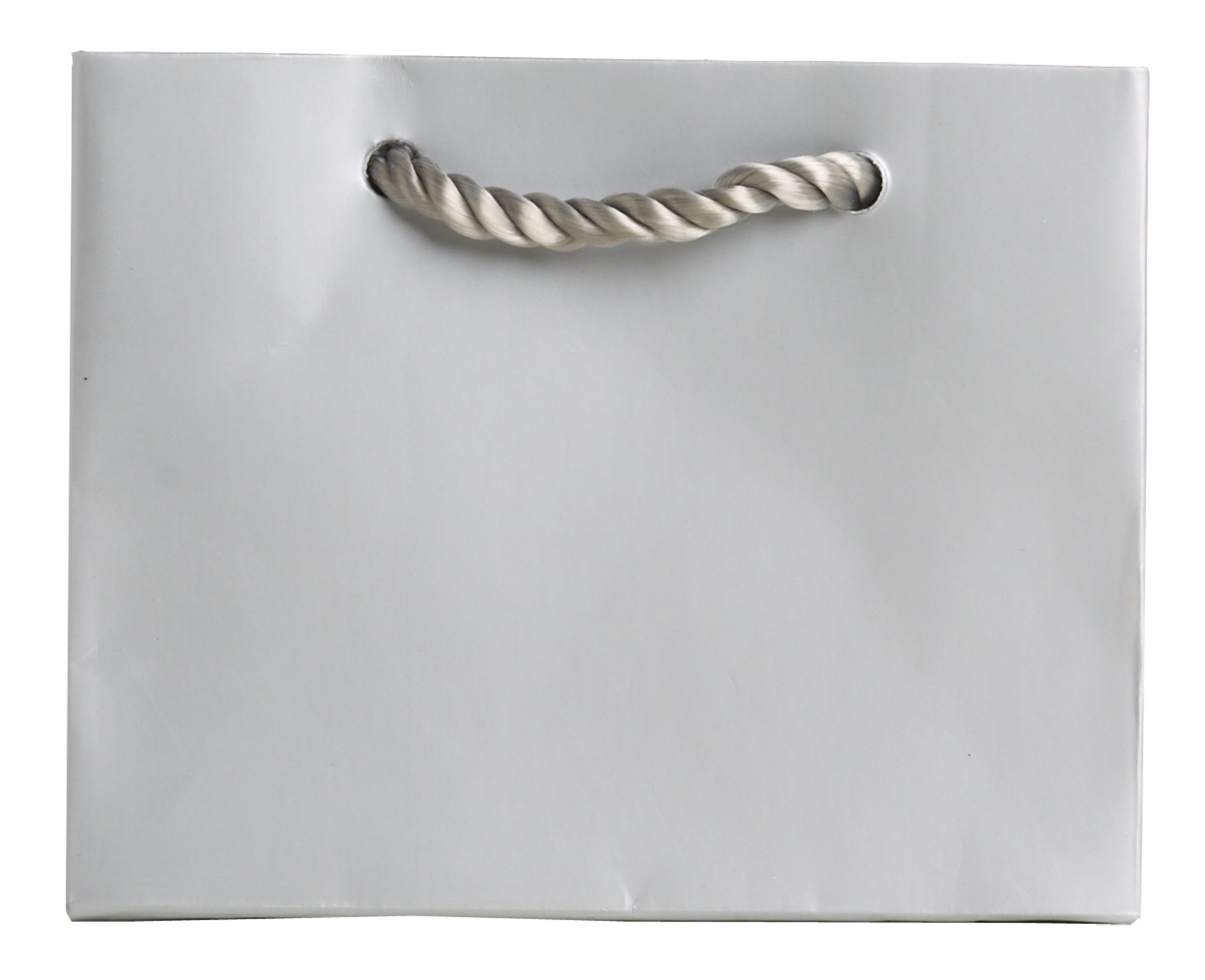 Jillson Roberts Bulk Tiny Tote Gift Bags - 120 Count, 11 Colors Including Silver Matte (BTT914) - Perfect for Party Favors, Wedding Decorations & Retail Packaging