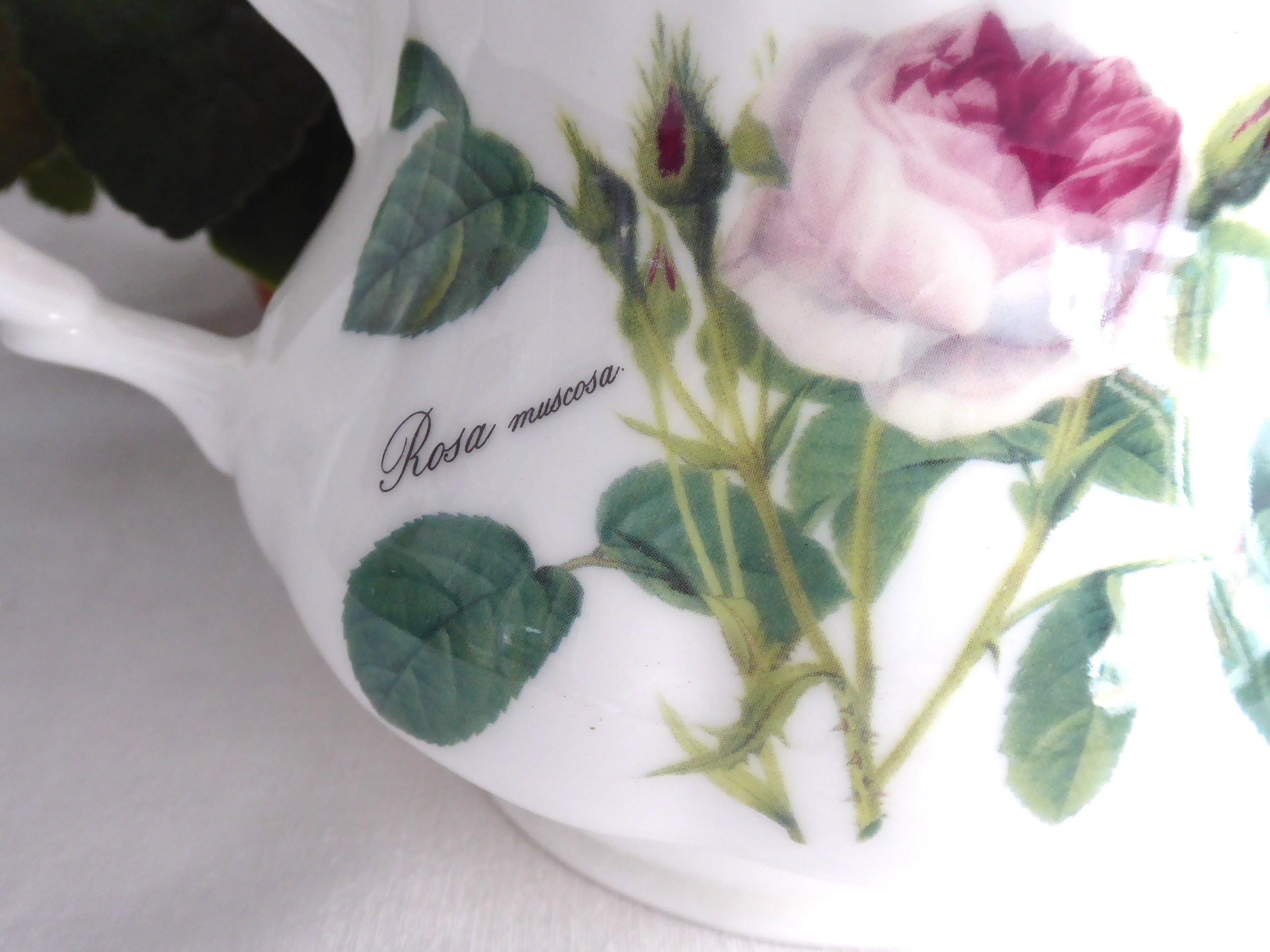 Pink Redoute Rose Teapot by Roy Kirkham - 6 Cup (40 oz) Floral Botanical Teapot for Afternoon Tea & English Garden Parties