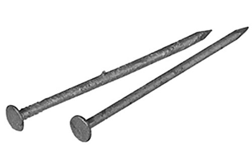 Hot Dipped Galvanized Box Nails 2-1/2 Inch (30lb Bucket) - Heavy Duty Construction Nails for Framing, Roofing & Outdoor Projects - Corrosion Resistant Steel Nails for Woodworking and Building
