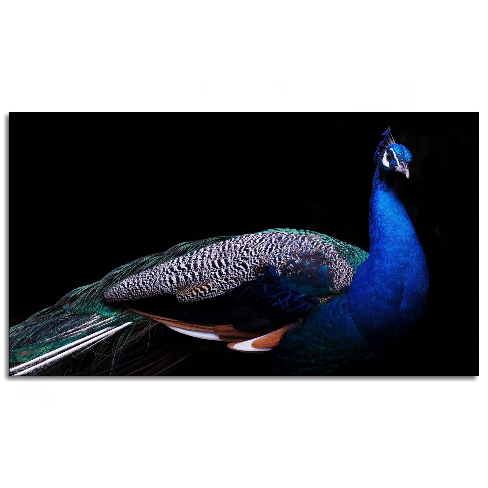 Peacock Canvas Wall Art - 42x24 Inch Unframed Animal Print Poster for Home & Office Decor | Perfect for Living Room, Bedroom, or Gift