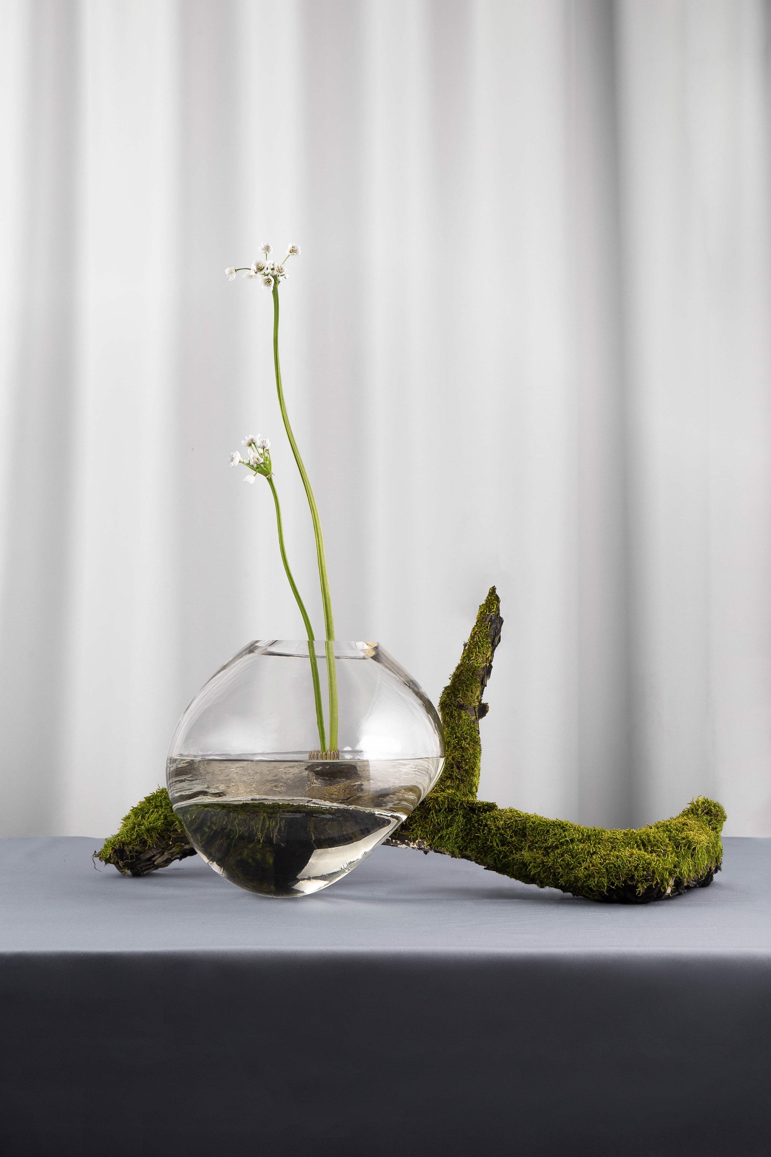 Noom Gutta Vase - Modern Ceramic Flower Vase for Home Decor, Wedding Centerpieces & Office Desk Accessories