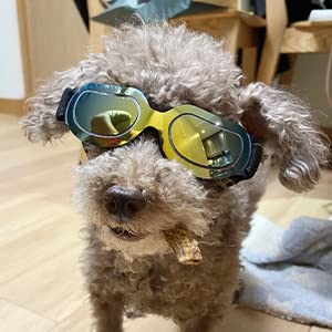 **PEDOMUS Dog Sunglasses for Small Dogs - UV Protection Adjustable Dog Goggles, Yellow Lens for Eye Safety - Perfect for Outdoor Adventures, Hiking & Beach Trips**