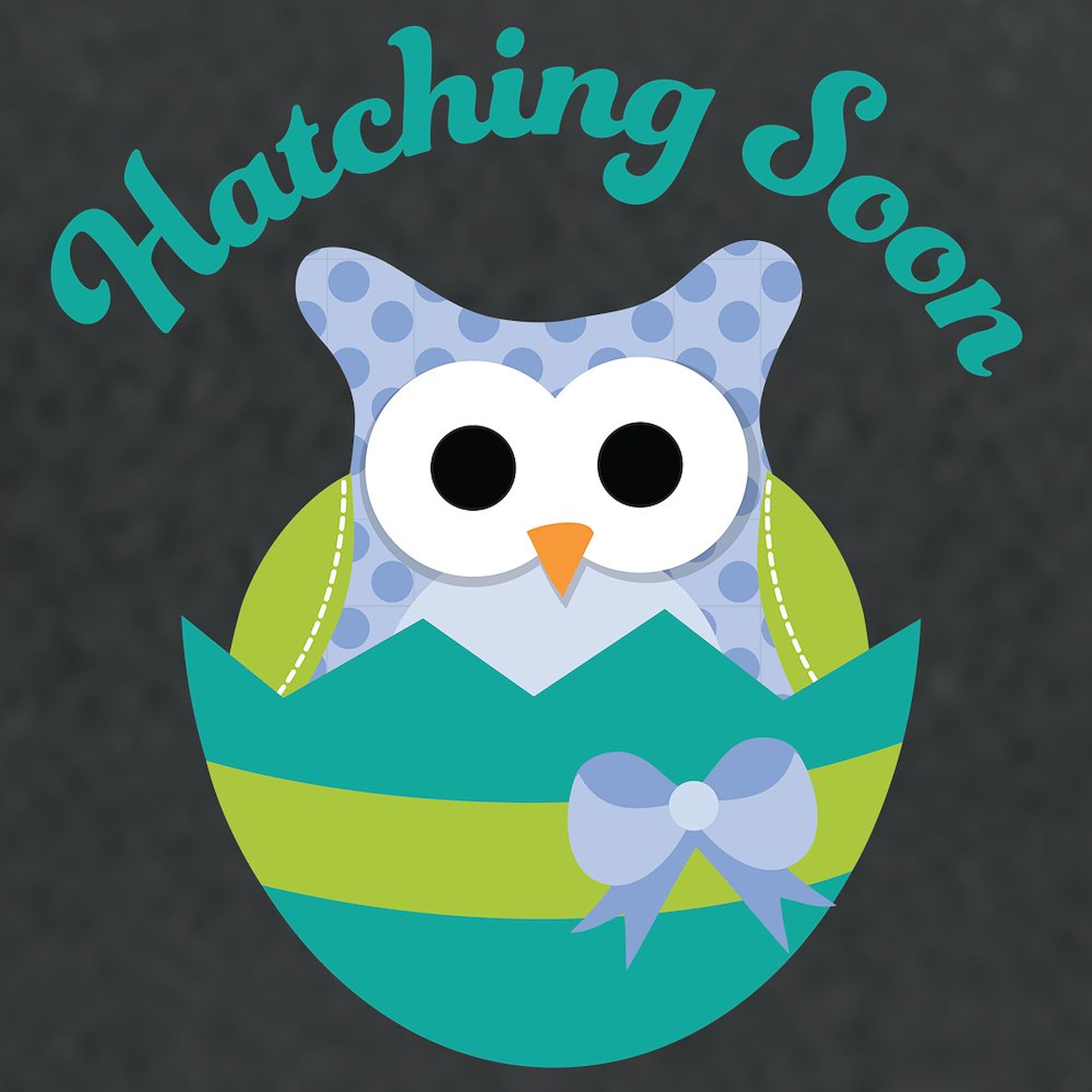 Hatching Soon Easter Owl Maternity T-Shirt for Women - Ruched Side Design for Comfort - Perfect for Pregnancy Announcements, Baby Showers & Easter Celebrations