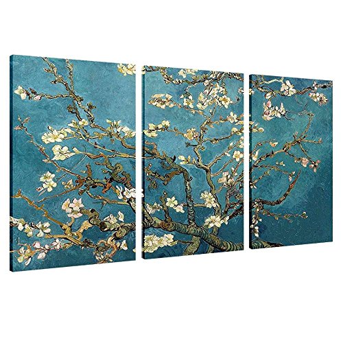 Synthetic Canvas