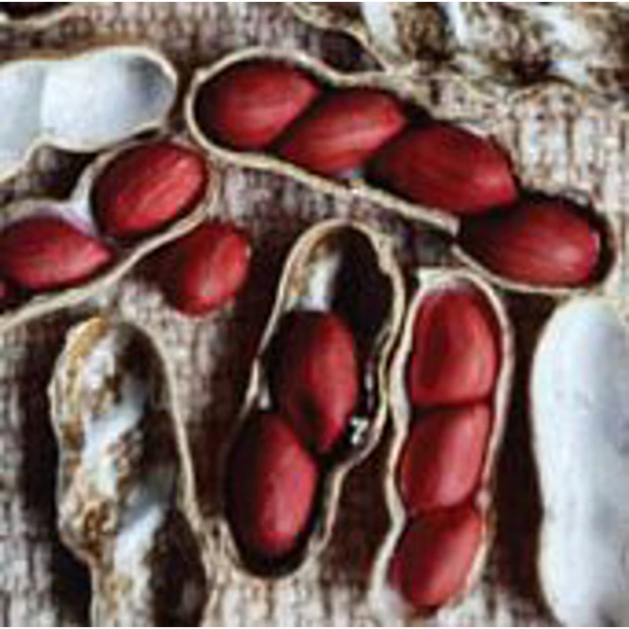 Organic Spanish Peanut Seeds (20+ Seeds) | Non-GMO, Heirloom | Vegetable & Herb Seeds for Planting | Home Garden, Greenhouse, Backyard Farming | Perfect for Snacks, Cooking & Healthy Recipes