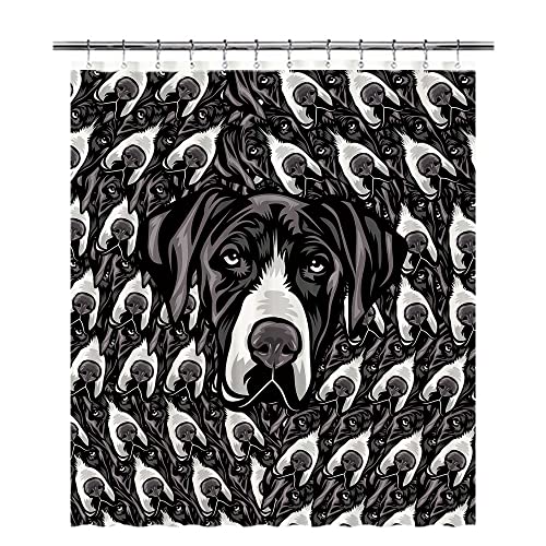 Great Dane