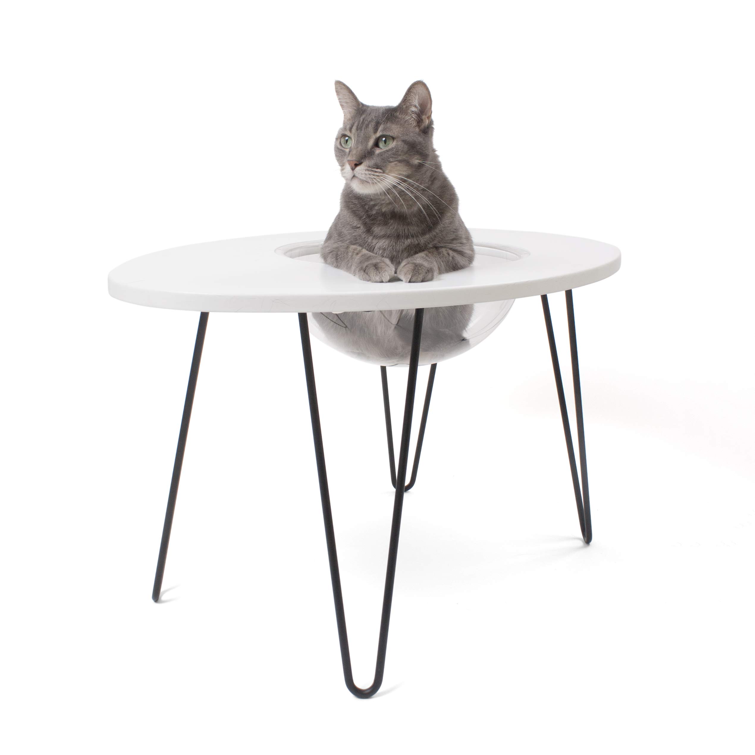 Premium Raised Cat Bed with Side Table - White Modern Pet Furniture for Cats | Cozy Elevated Sleeping Spot & Stylish Home Decor for Living Room or Bedroom