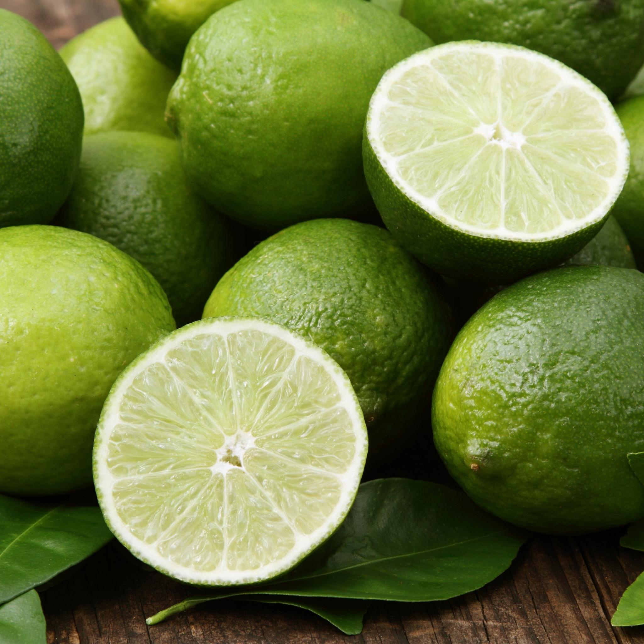 Premium Margarita Fragrance Oil - Tropical Citrus Scent for Candles, Soaps & Diffusers | Perfect for Home Spa, Relaxation & Summer Vibes