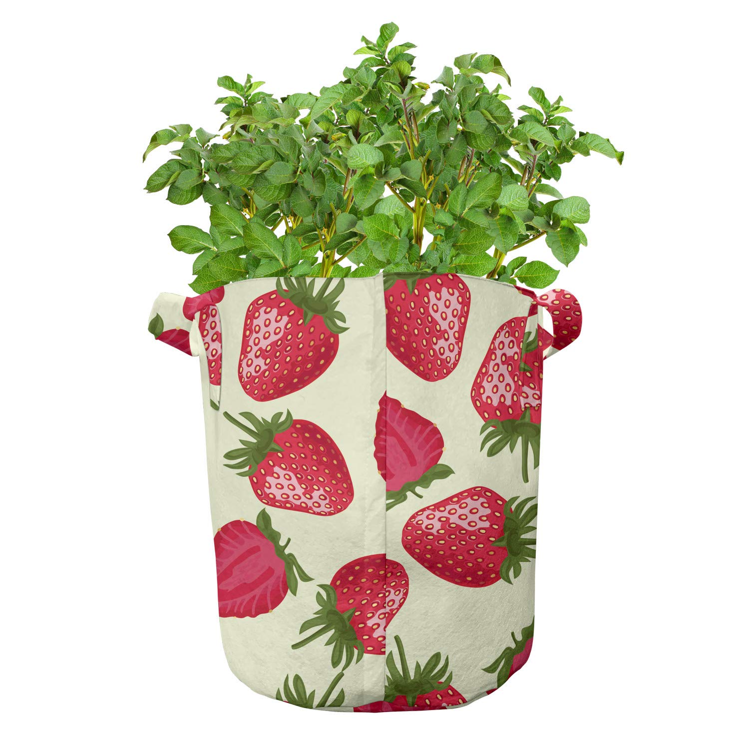 Ambesonne 5-Pack Heavy Duty Fabric Grow Bags with Handles - Strawberry Print Plant Pots for Fruits & Vegetables, Olive Green & Eggshell Red - Perfect for Indoor Gardening, Balcony Planting & Urban Farming