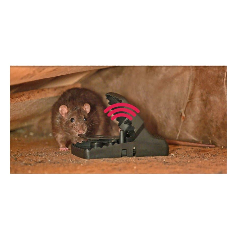 Trapper T Rex iQ Rat Trap - Humane & Effective Rodent Control for Home, Garage, and Outdoor Use - Safe & Easy to Set Up