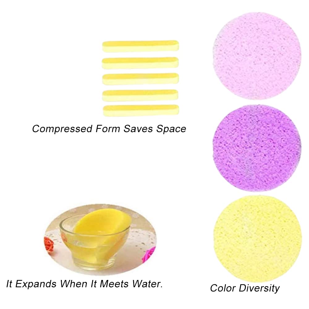 36-Piece Compressed Facial Sponges for Makeup & Skincare | Portable Cellulose Makeup Sponges for Cleansing, Exfoliating & Massage | Ideal for Travel, Daily Face Care & Professional Makeup Application