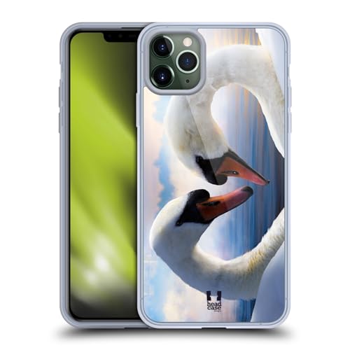 Swans In Love